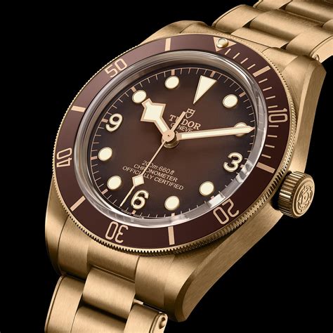 tudor savinesse|tudor black bay bronze.